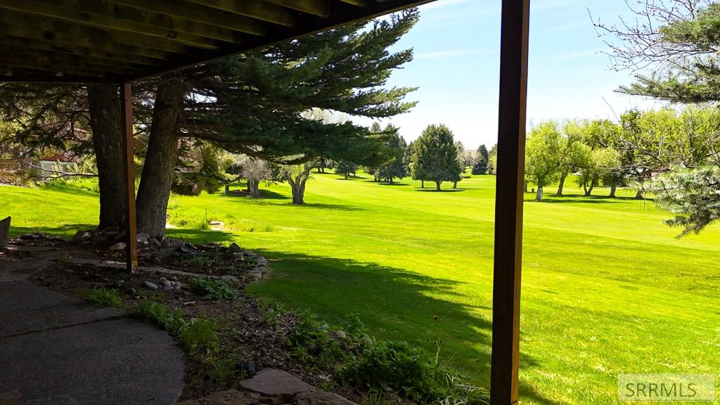 Walkout View of Backyard