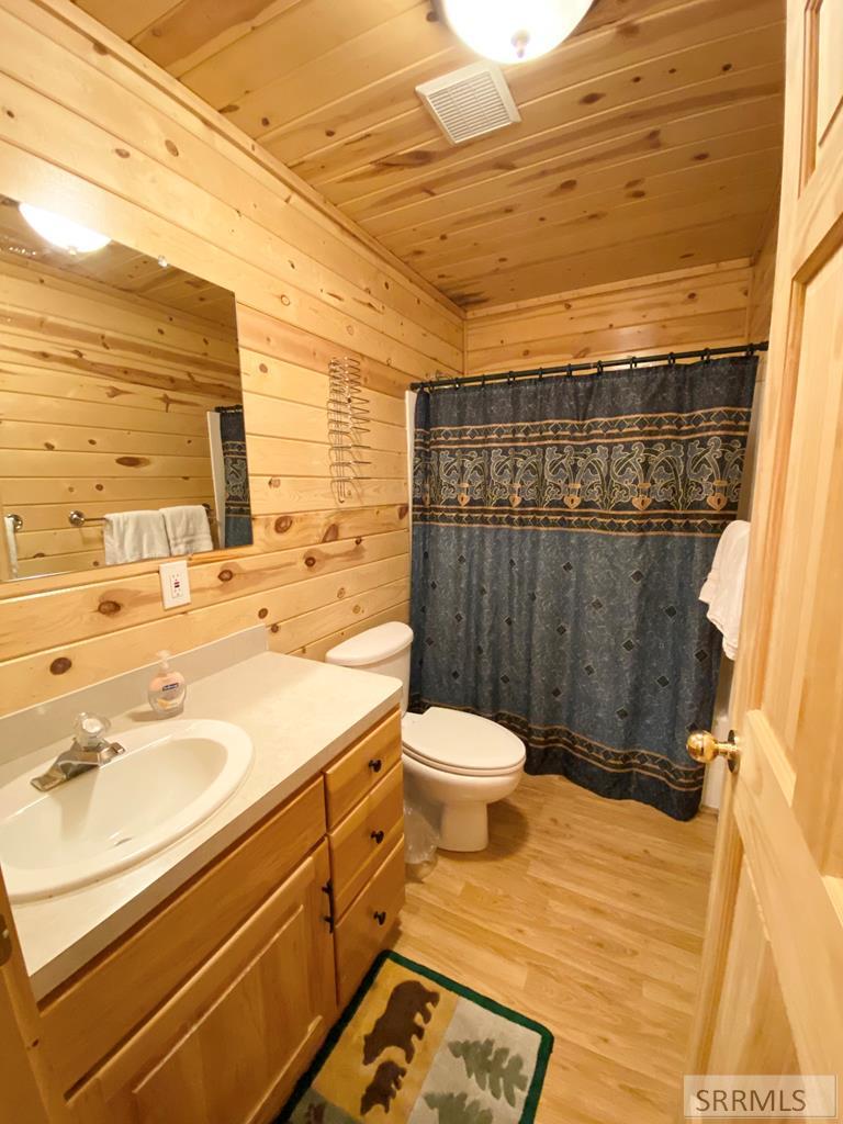 Lower level bathroom