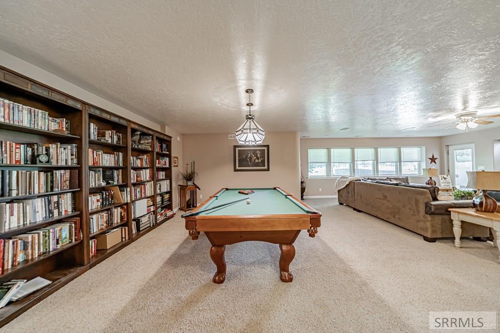 Basement Family Room