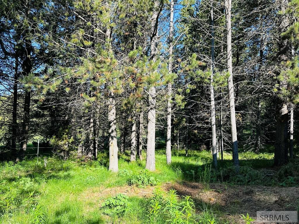 Backyard overlooking the large ranch