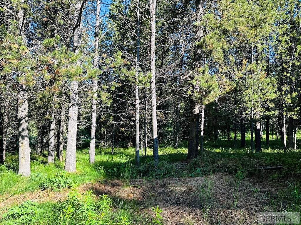 Backyard overlooking the large ranch