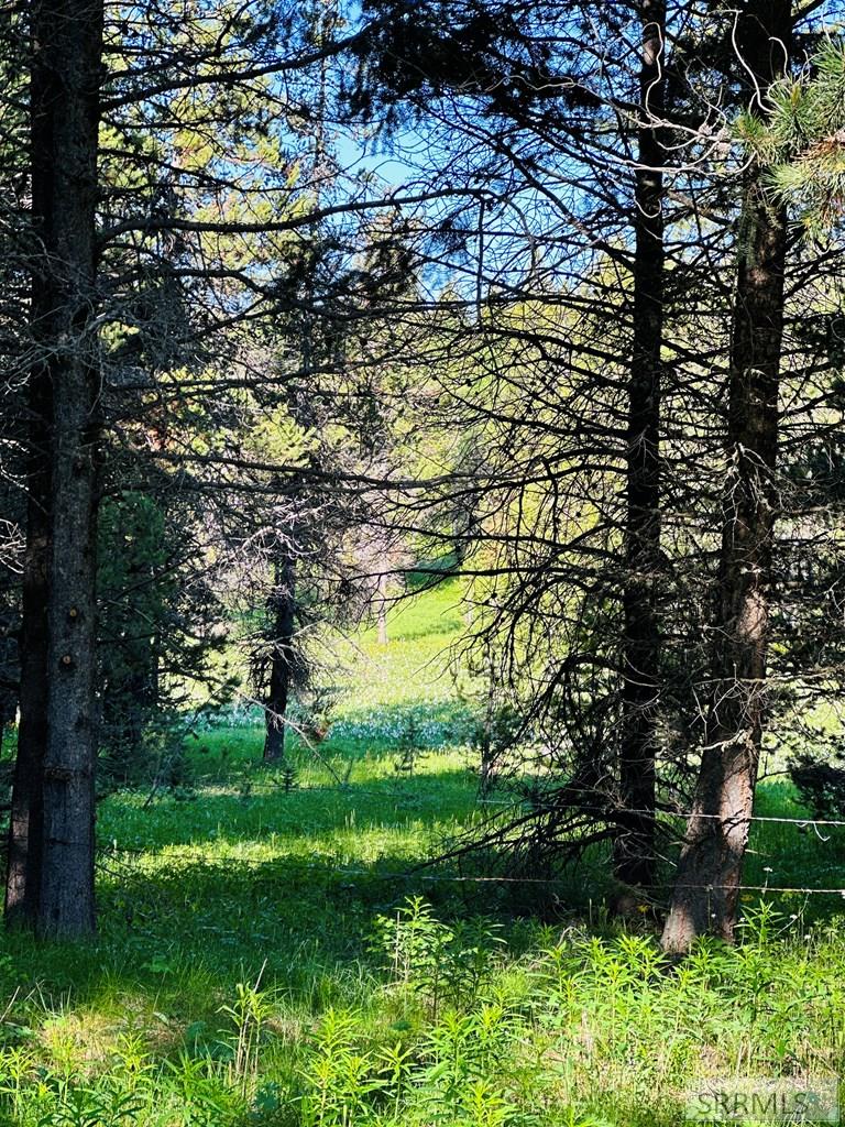 Backyard overlooking the large ranch