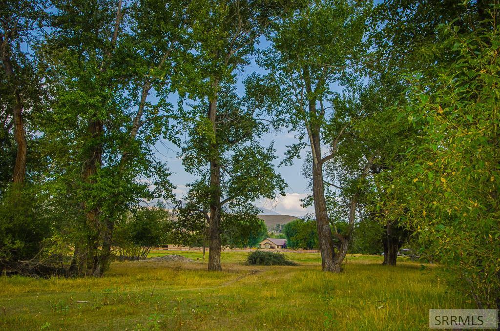 River Front Parcel Pasture