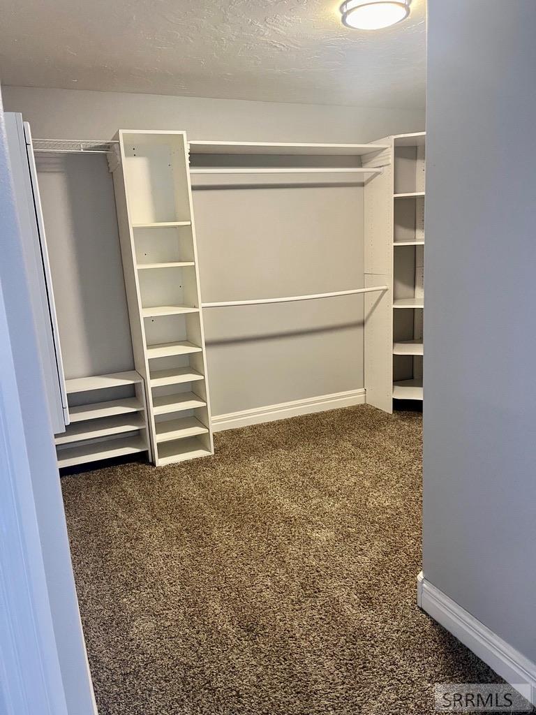 Walk in closet in master bedroom