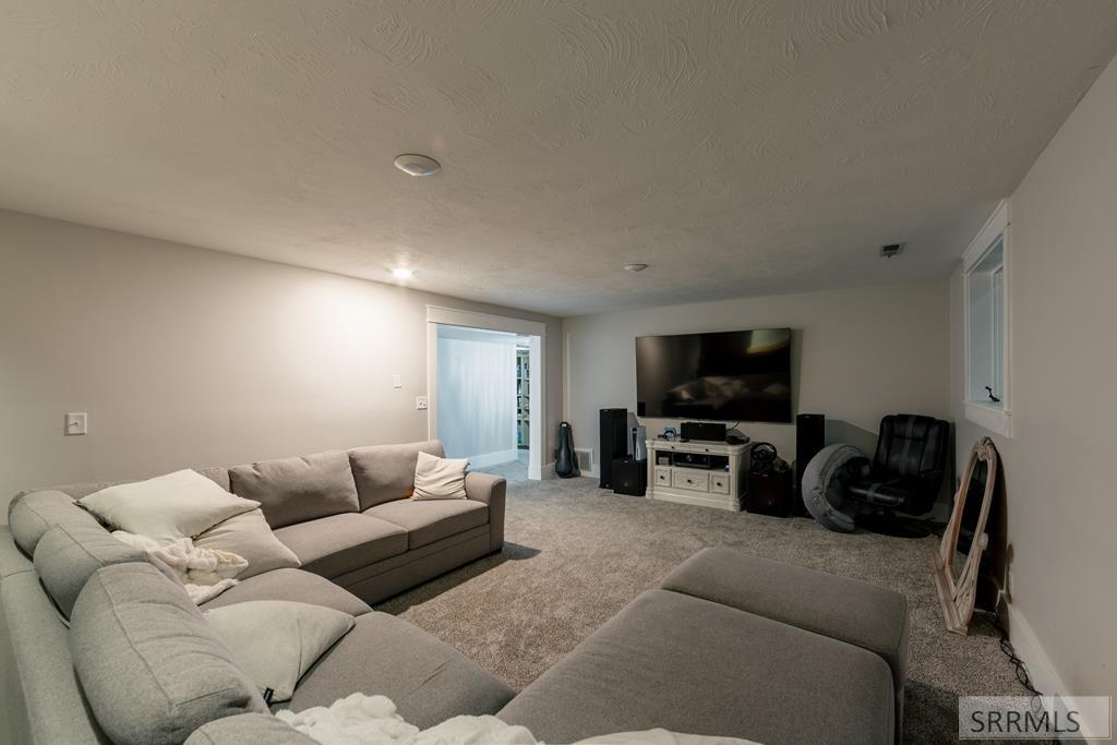 Basement Family Room