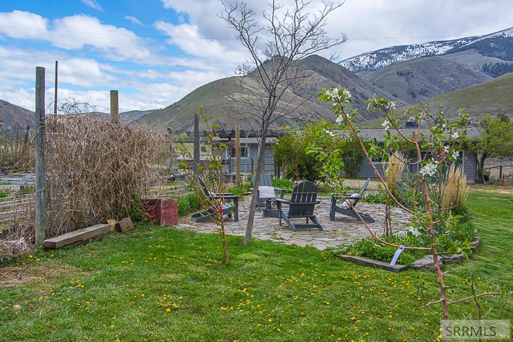 Rear Yard Entertainment Area