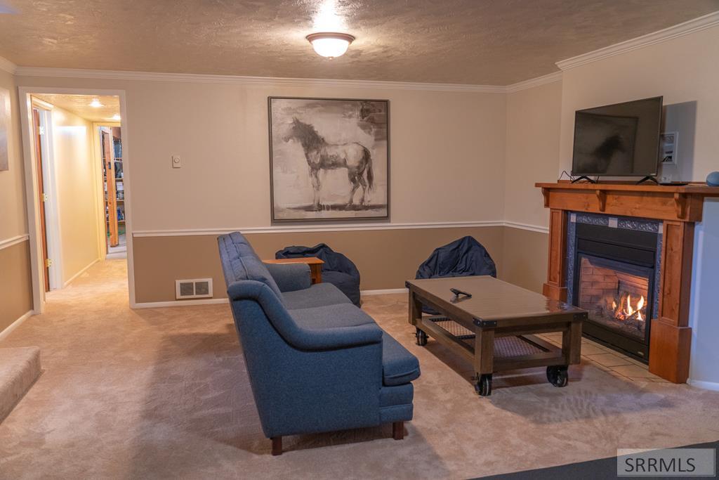 Basement family room