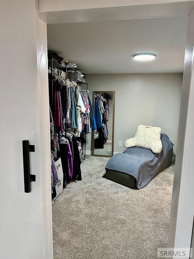 Basement Closet