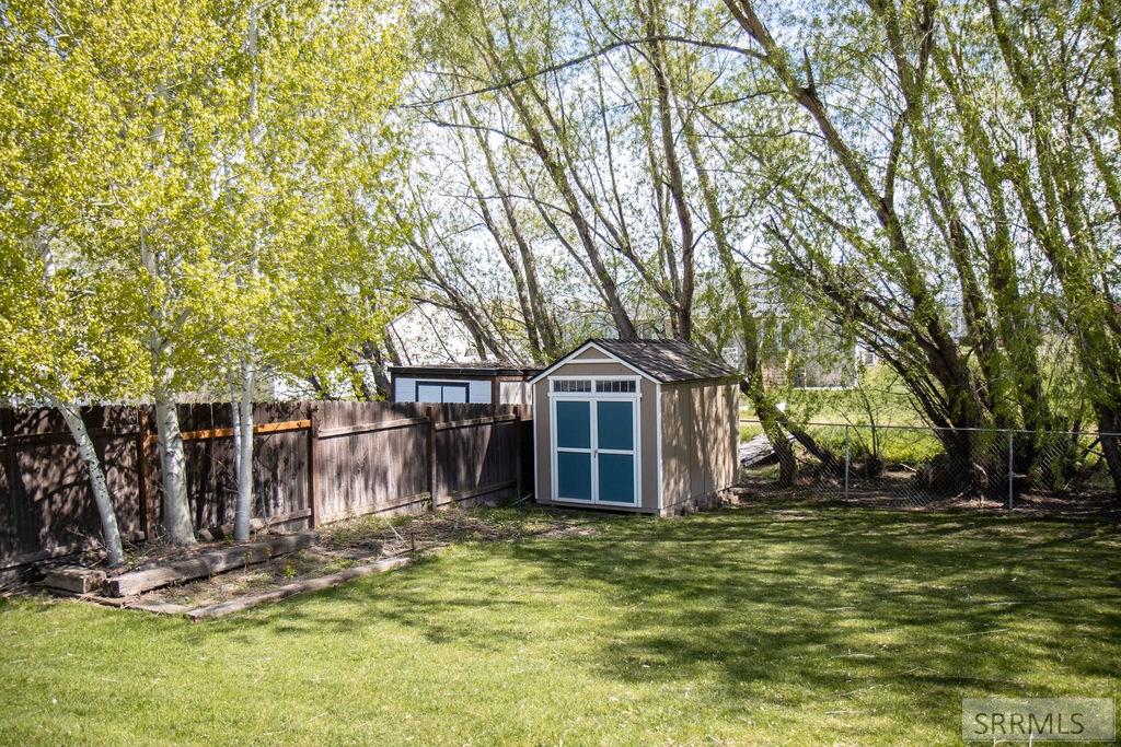 Shed in back yard