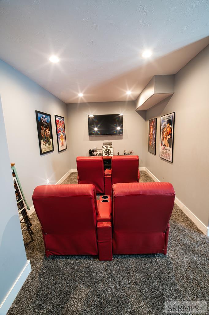 Basement Theater Room