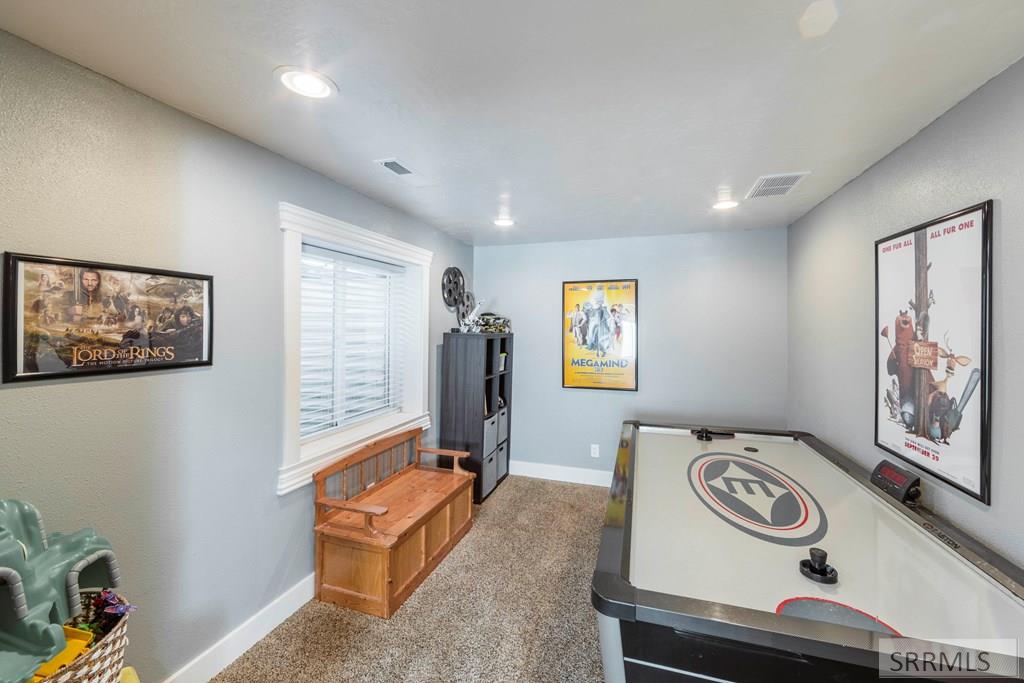 Basement Family Room