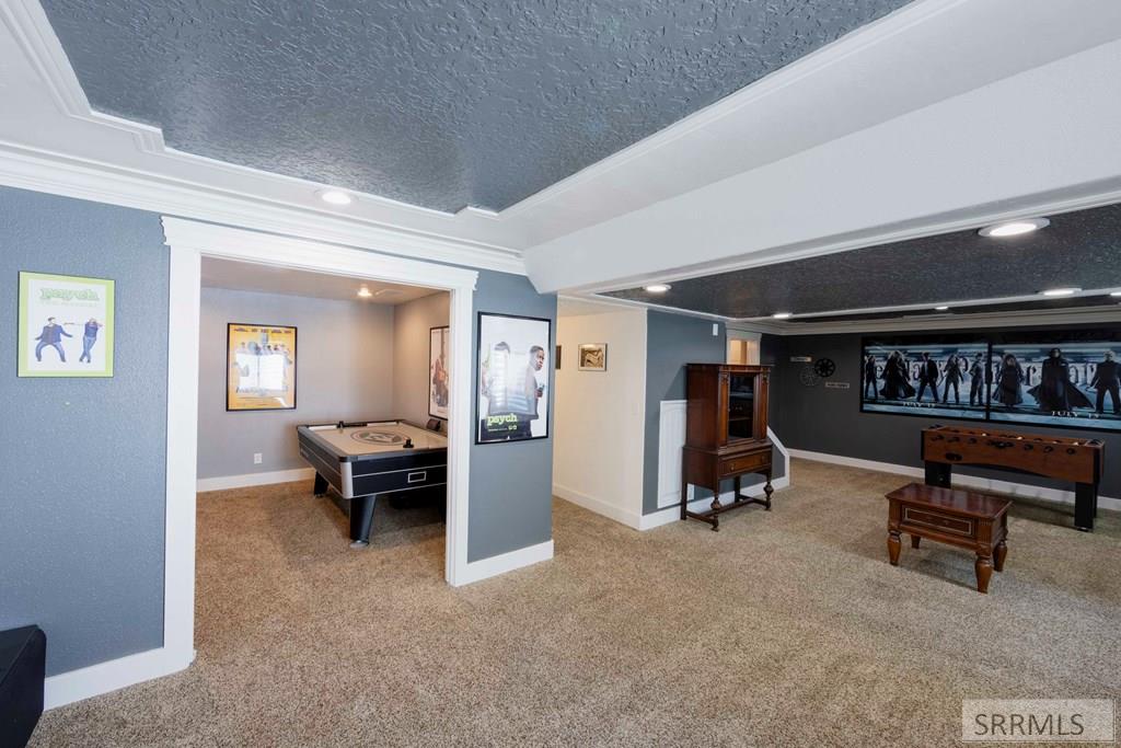 Basement Family Room