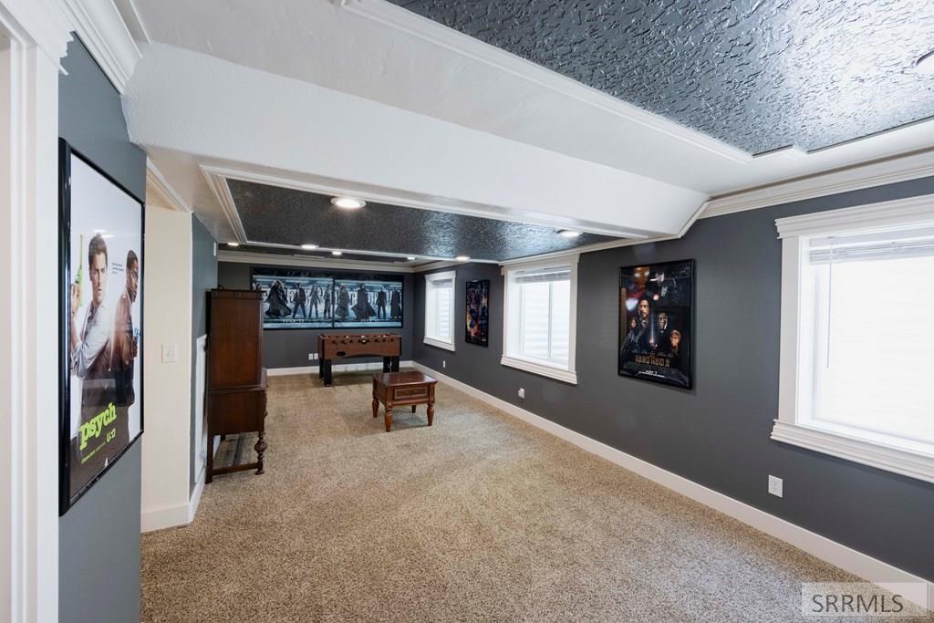 Basement Family Room