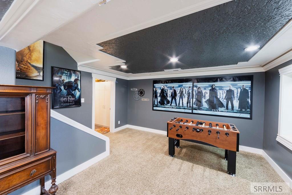 Basement Family Room