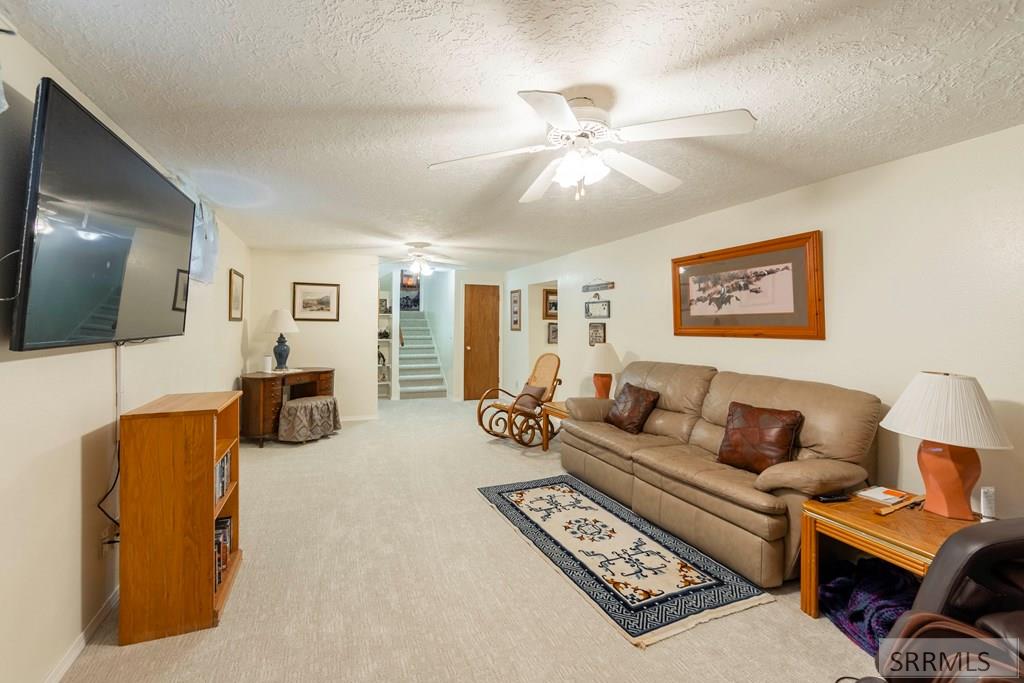 Basement Family Room