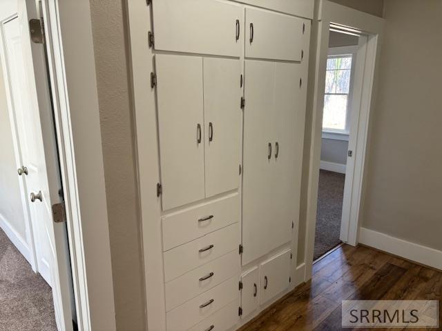 Storage in Hall between Bedrooms