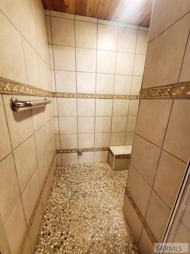 Basement Bathroom Walk-in Shower