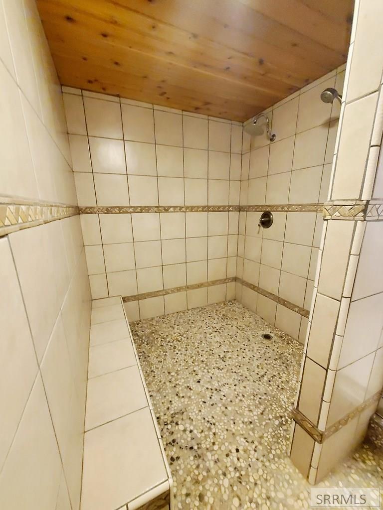Basement Bathroom Walk-in Shower