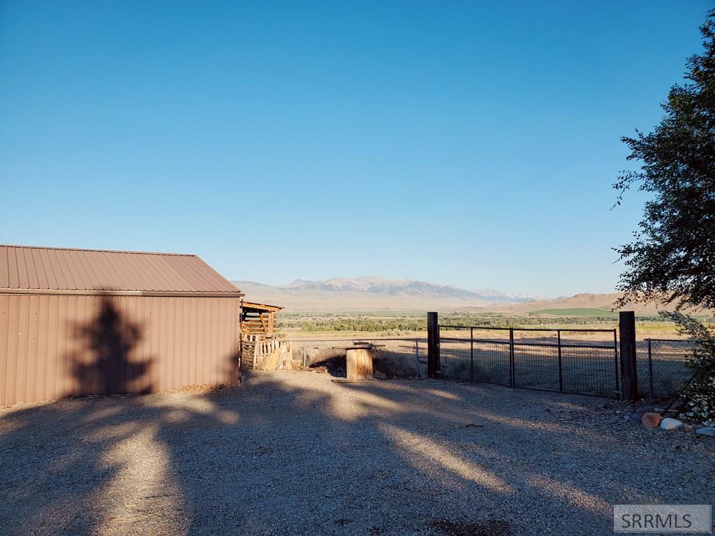 Backyard View