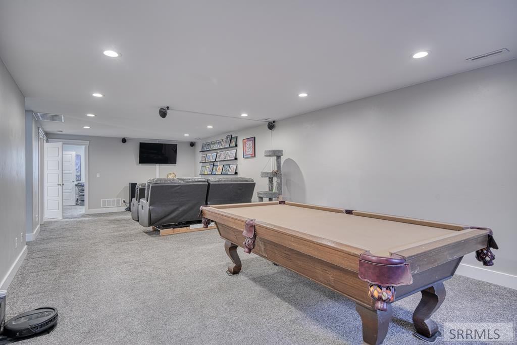 Basement Family Room