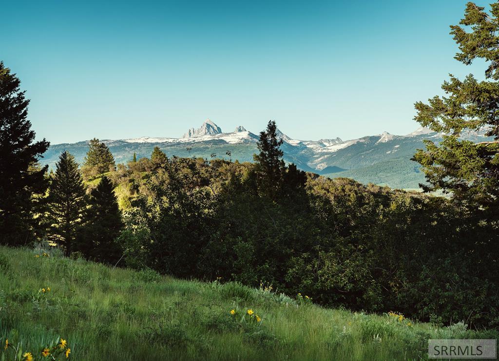 Grand Teton Valley Views