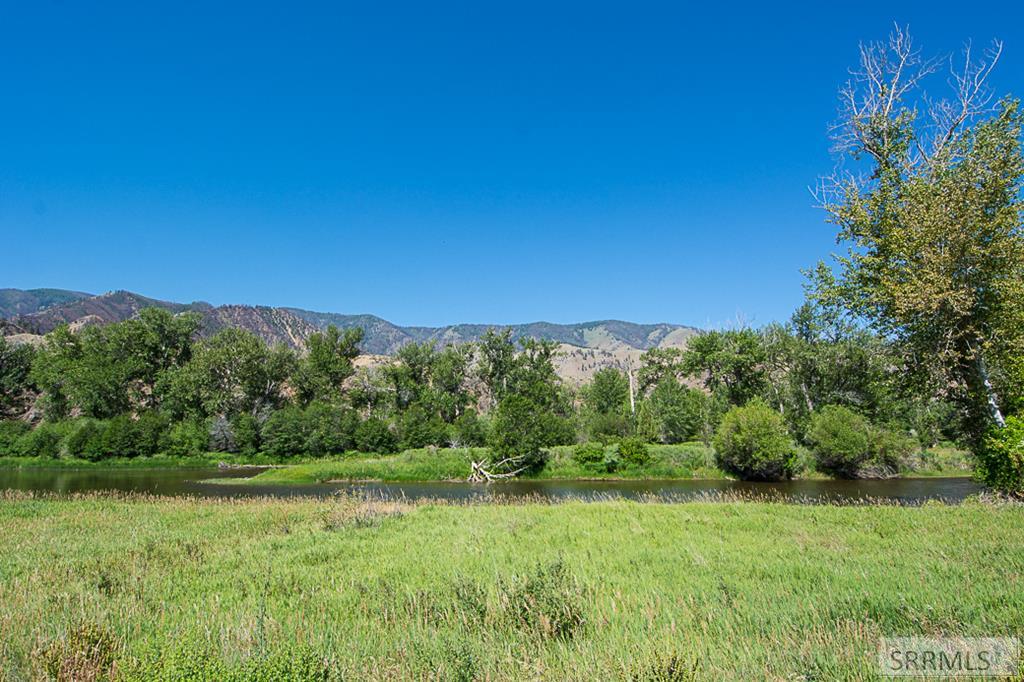 View of the Salmon River 