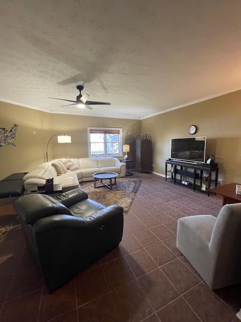 Basement Family Room