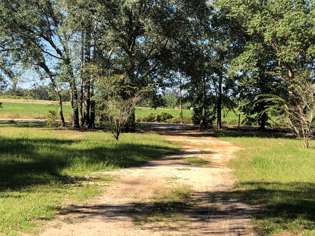 Entrance Driveway