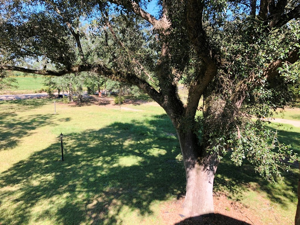 View of front yard from upstairs front porch