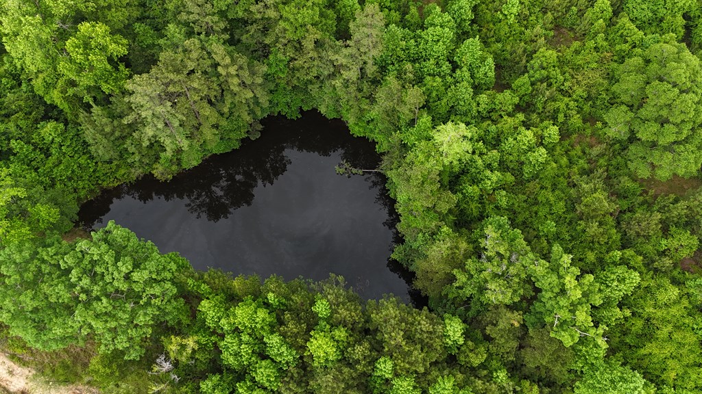 Catfish pond