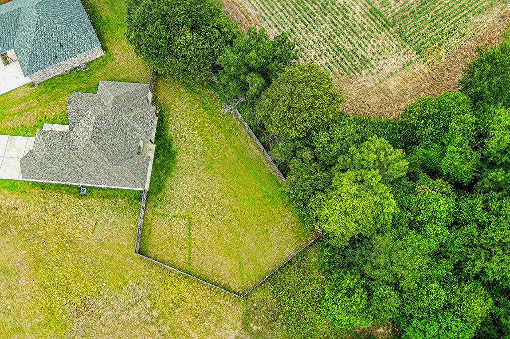 Aerial View Rear Yard