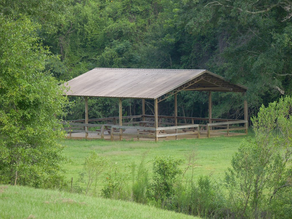 Community Picnic Area/ Lake