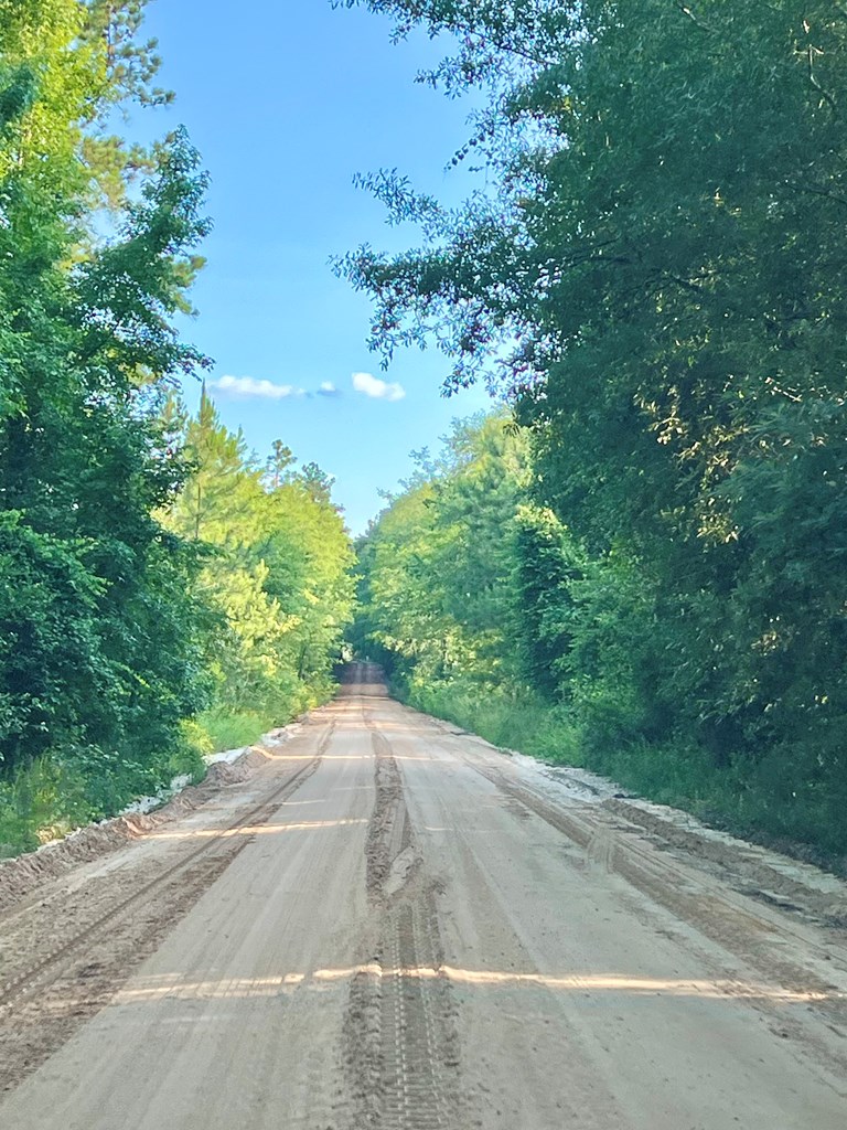 Dirt road leading to property