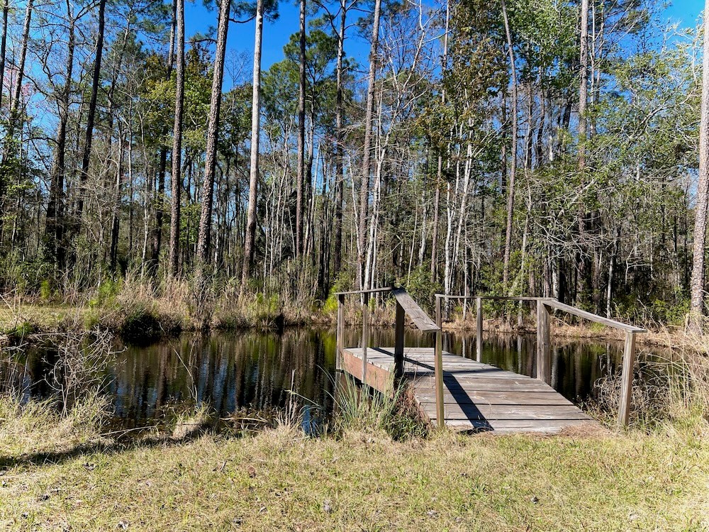 Dock at Pond