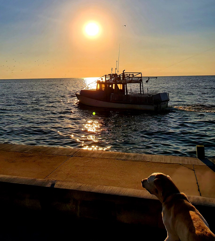 Shrimp Boat on the open water