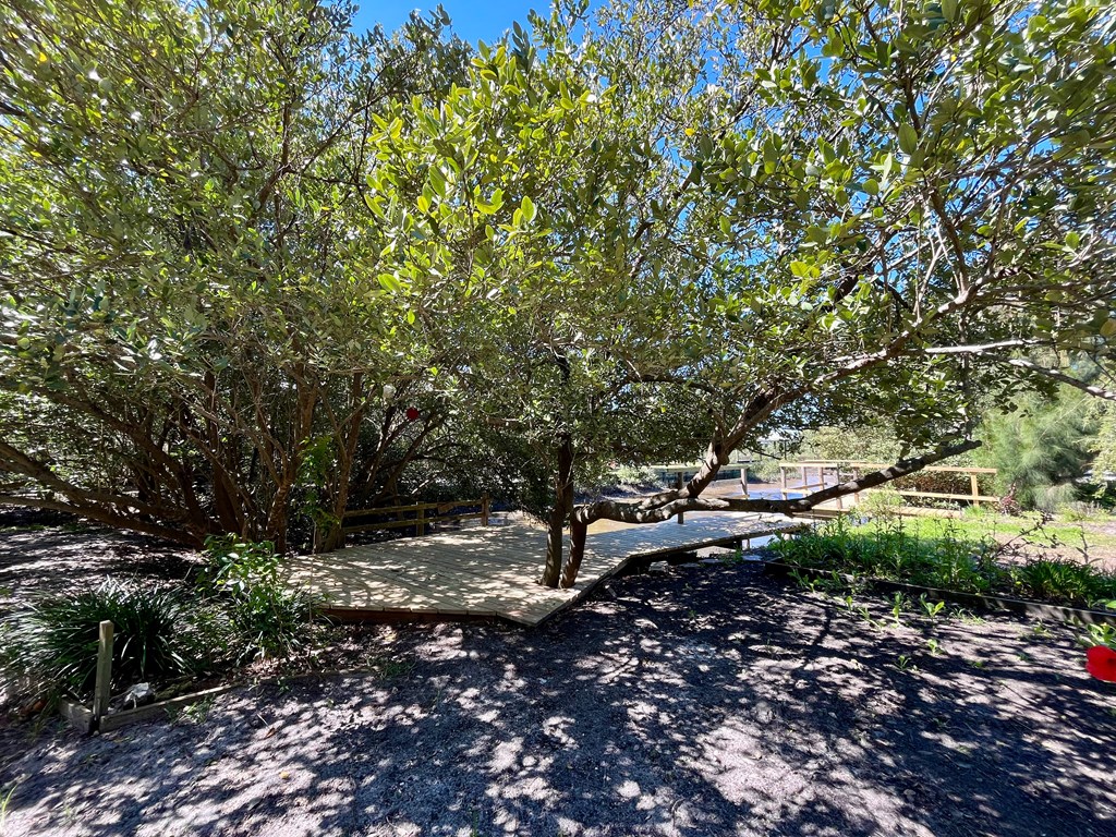 Unique Deck Built Around Mangroves