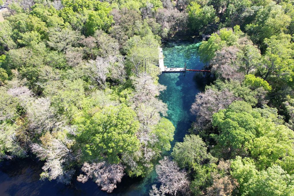 Fanning Springs State park 