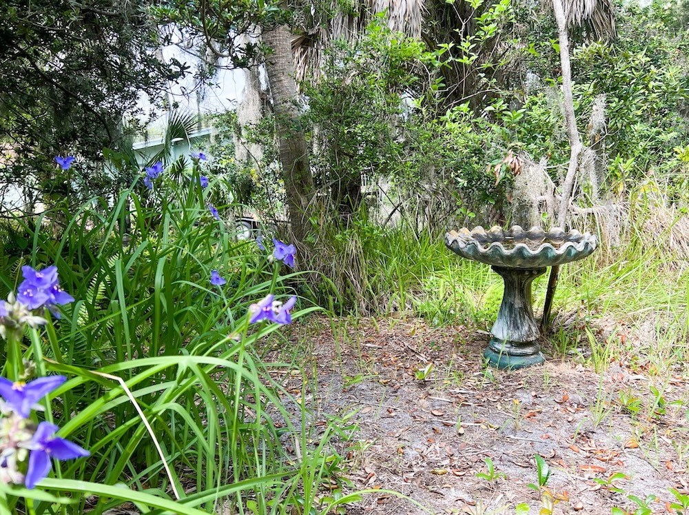 Bird Bath in Back Yard