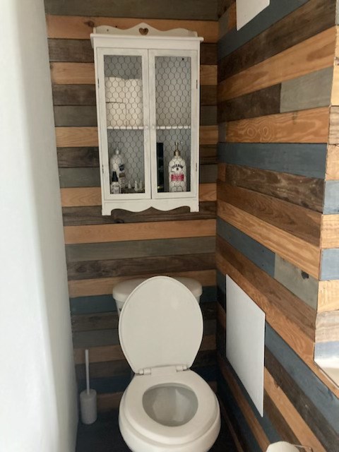 toilet & shiplap wood paneling