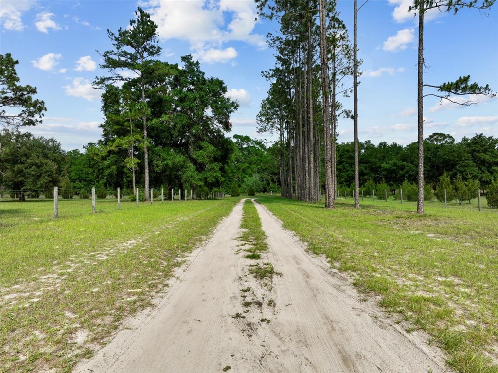 Driveway