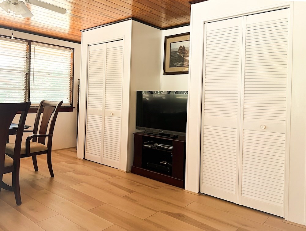 Closets & Television in Family Room
