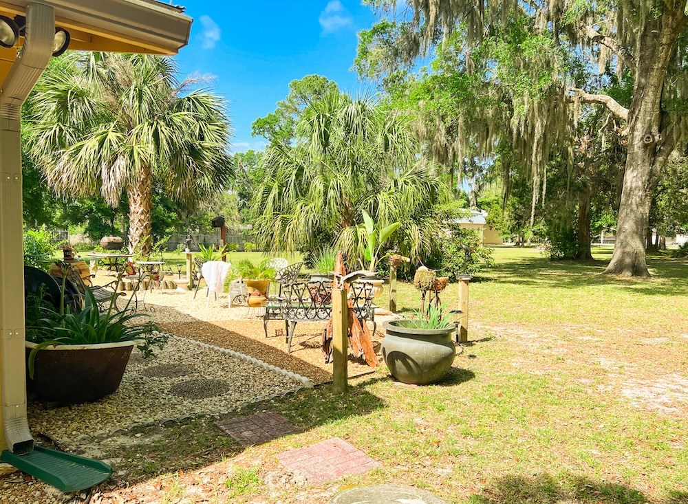 Patio and Yard - a Gardener's Delight