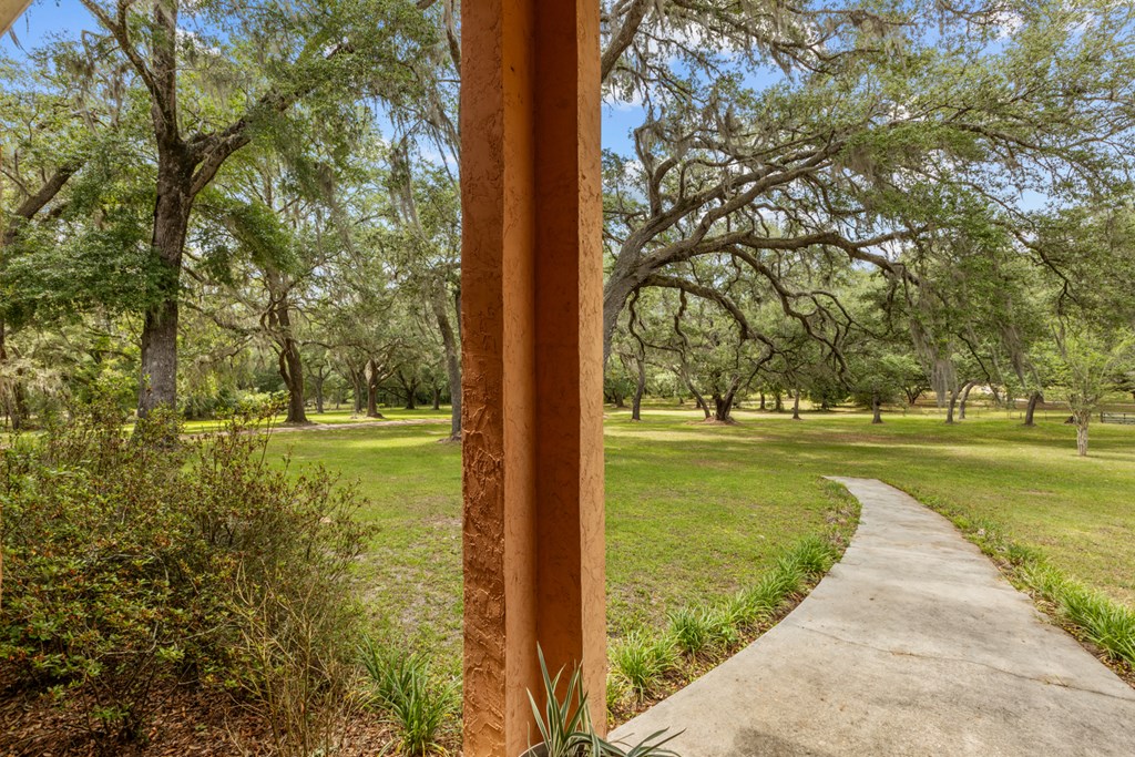 View from front porch