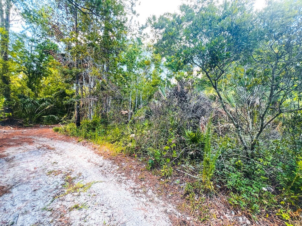 West end of Driveway