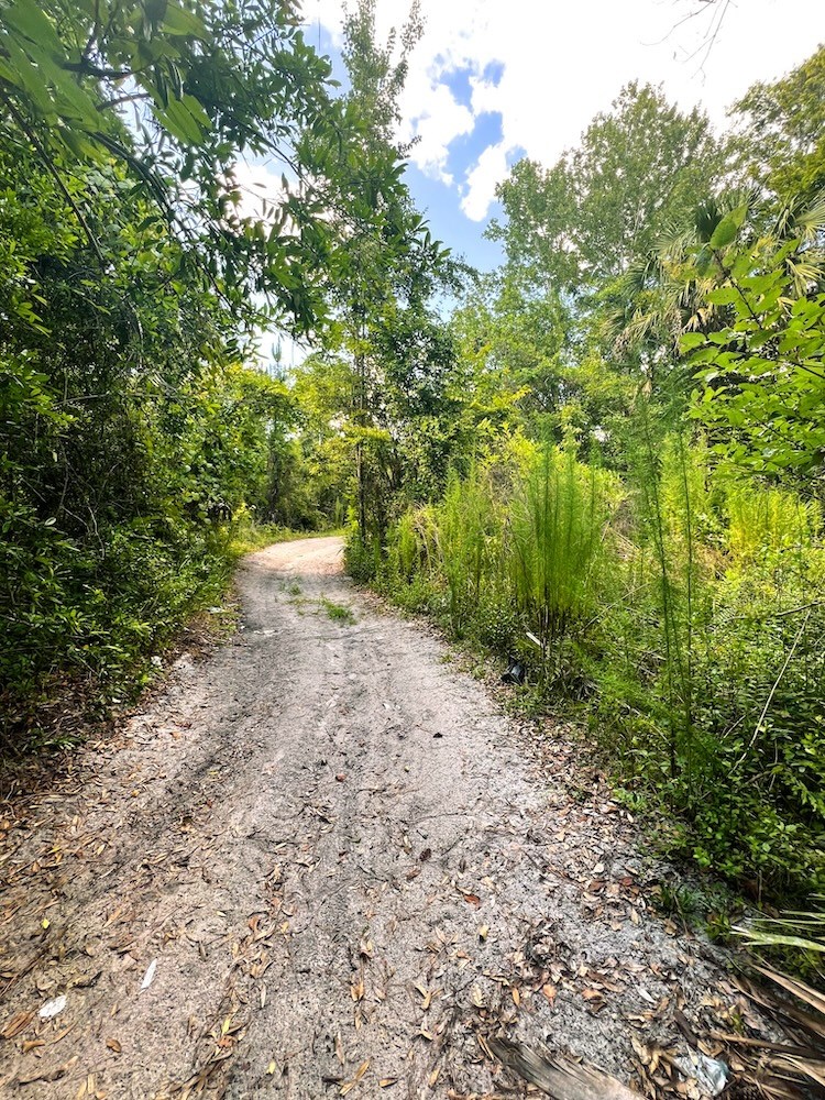 Driveway into Lot 4