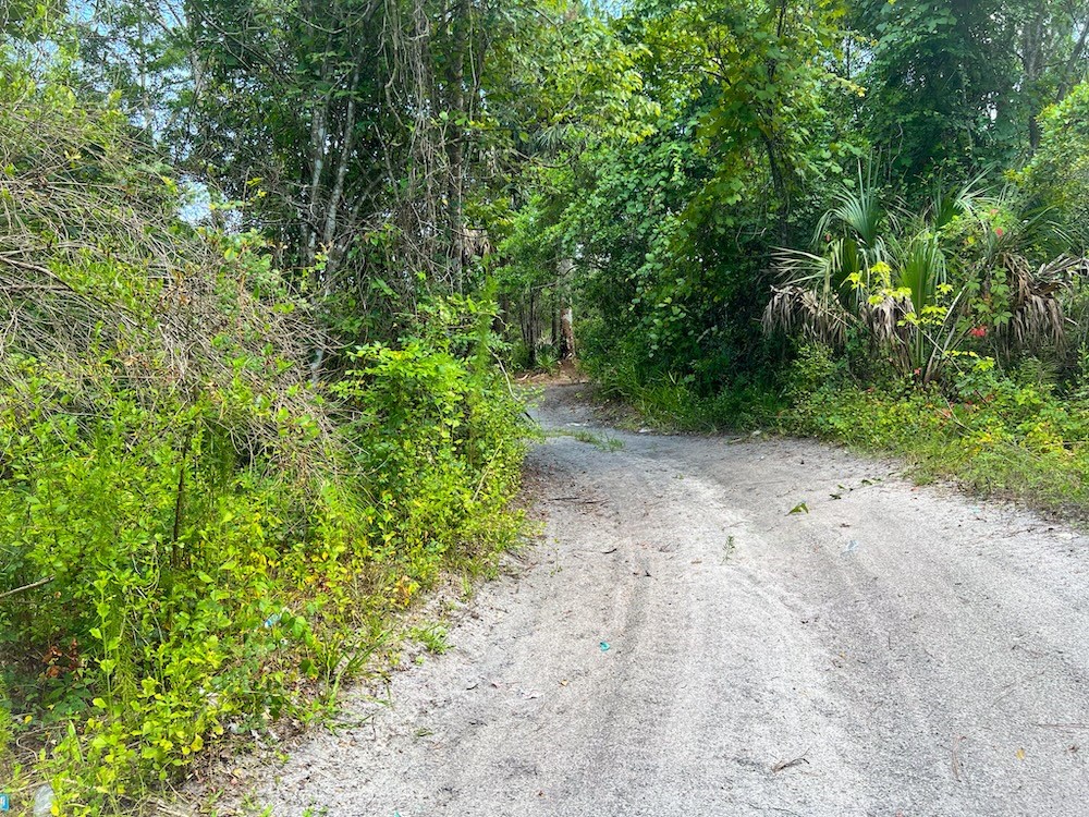 Driveway