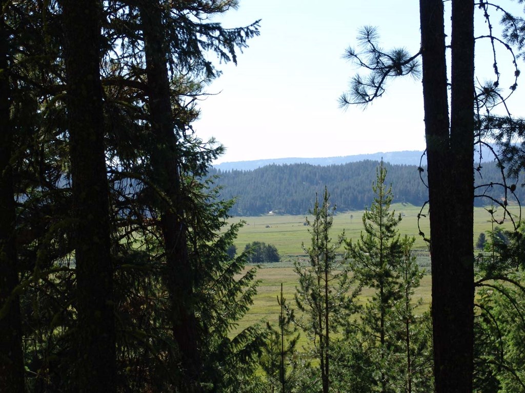 Mountain & Valley Views