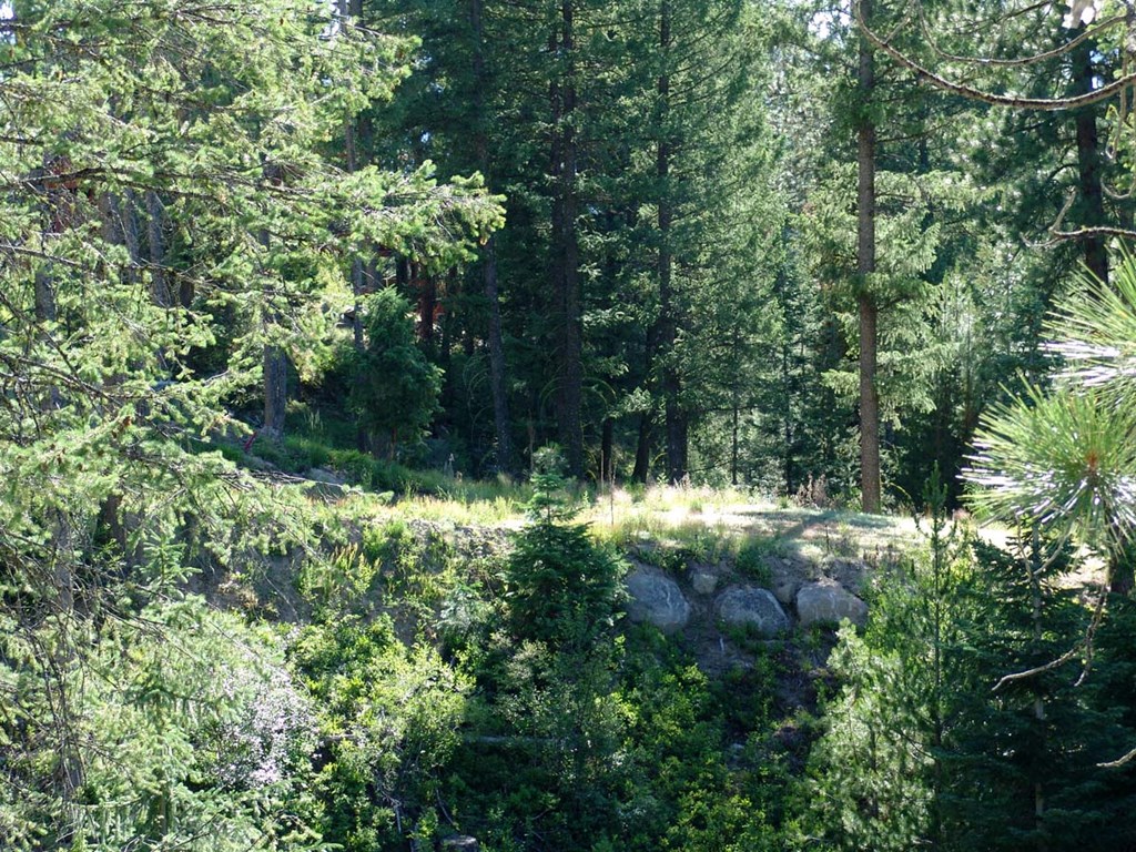 Wooded Pad Site With Rock Outcroppings