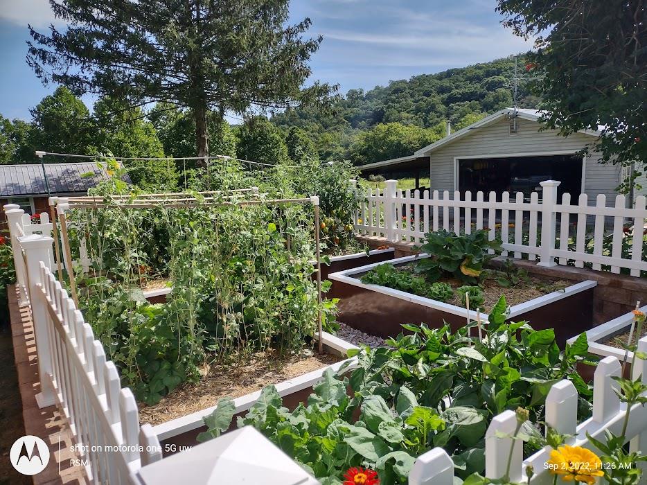 Raised Bed Garden