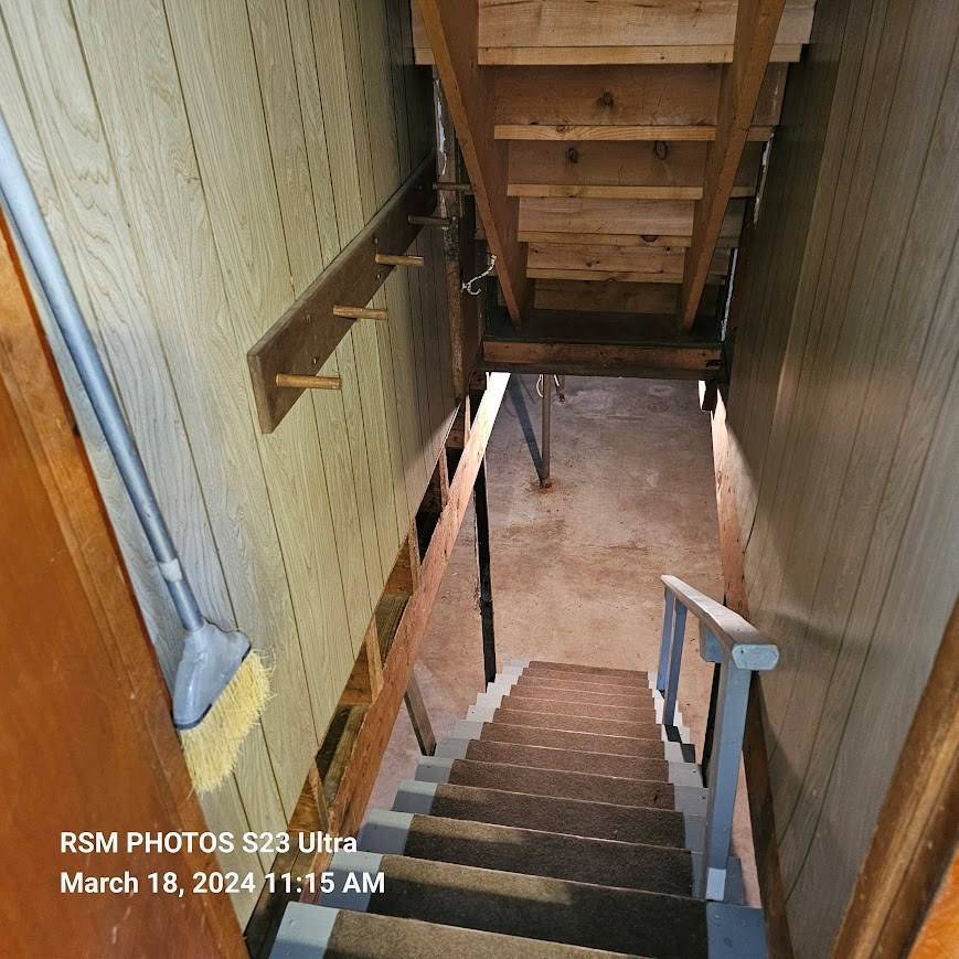 Basement Steps Down